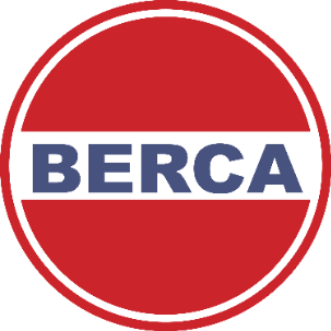 Network Engineer (L2)