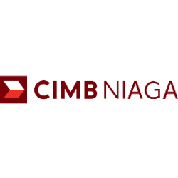 CIPTA IT Developer